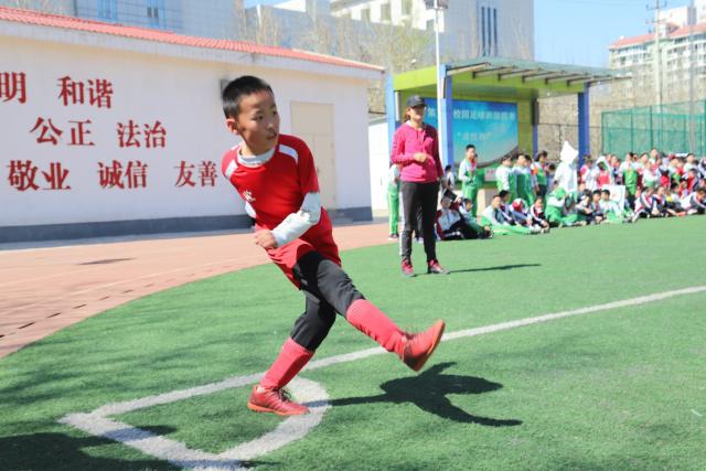 球友会-QYSPORTS官网-中文官方站.首页服务中心APP界面展示